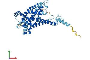 Protein Structure (PS) image for Solute Carrier Family 25, Member 43 (SLC25A43) (AA 1-341) protein (His tag) (ABIN7551713)