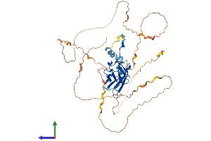 Protein Structure (PS) image for Runt-Related Transcription Factor 1 (RUNX1) (AA 1-451) protein (His tag) (ABIN7563589)