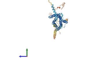 AlphaFold protein structure predicition of Human Recombinant GPR22 Protein, UniprotID Q99680