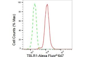 Flow cytometric analysis of TBLR1 expression in HepG2 cells using TBLR1 antibody (ABIN7800598), 1:2,000). (Recombinant TBL1XR1 抗体)