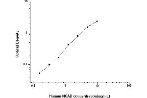 Cadherin 2 (CDH2) ELISA Kit