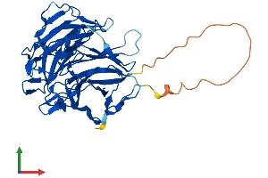 Protein Structure (PS) image for Rab9 Effector Protein with Kelch Motifs (RABEPK) (AA 1-372) protein (His tag) (ABIN7551209)