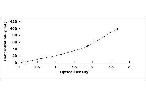 Typical standard curve (HSPA1L ELISA 试剂盒)