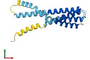 Protein Structure (PS) image for Signal Sequence Receptor gamma (SSRg) (AA 1-185) protein (His tag) (ABIN7561332)