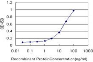 Detection limit for recombinant GST tagged CCL7 is approximately 1ng/ml as a capture antibody. (CCL7 抗体  (AA 24-99))