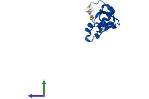 Protein Structure (PS) image for Sulfiredoxin 1 (SRX1) (AA 1-137) protein (His tag) (ABIN7546416)