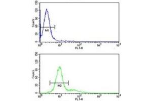 Retinoblastoma antibody flow cytometric analysis of 293 cells (green) compared to a negative control (blue). (Retinoblastoma Protein (Rb) 抗体  (AA 858-886))