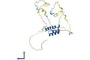 AlphaFold protein structure predicition of Mouse Recombinant Hoxc4 Protein, UniprotID Q08624