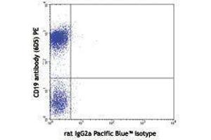 Flow Cytometry (FACS) image for Rat anti-Mouse IgD antibody (Pacific Blue) (ABIN2667177) (大鼠 anti-小鼠 IgD Antibody (Pacific Blue))