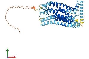 AlphaFold protein structure predicition of Mouse Recombinant Ccr9 Protein, UniprotID Q9WUT7