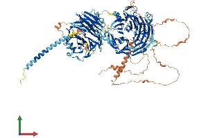 Protein Structure (PS) image for Syntaxin Binding Protein 5 (Tomosyn) (STXBP5) (AA 1-1151) protein (His tag) (ABIN7555655)