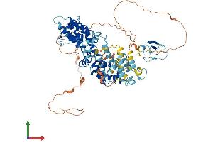 Protein Structure (PS) image for RAS Guanyl Releasing Protein 3 (Calcium and DAG-Regulated) (RASGRP3) (AA 1-690) protein (His tag) (ABIN7548186)
