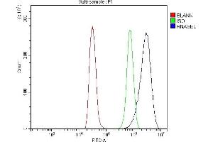 Flow Cytometry analysis of NRK cells using anti-RNase L/Rnasel antibody (ABIN7600857). (RNASEL 抗体  (AA 24-735))