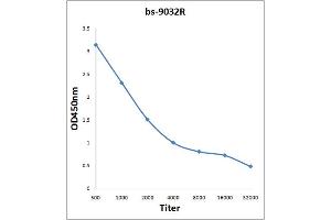 Antigen: 2 µg/100 µL  Primary: Antiserum, 1:500, 1:1000, 1:2000, 1:4000, 1:8000, 1:16000, 1:32000;  Secondary: HRP conjugated Rabbit Anti-Goat IgG at 1: 5000;  TMB staining Read the data in Microplate Reader by 450nm. (PBLD1 抗体  (AA 60-110))