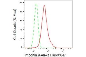 Flow cytometric analysis of Importin 9 expression in HepG2 cells using Importin 9 antibody (ABIN7799024), 1:2,000). (Recombinant Importin 9 抗体)