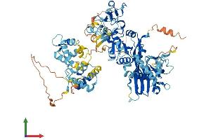 Protein Structure (PS) image for Diacylglycerol Kinase, beta 90kDa (DGKB) (AA 1-802) protein (His tag) (ABIN7557945)