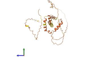 AlphaFold protein structure predicition of Human Recombinant FAM220BP Protein, UniprotID B1ANY3
