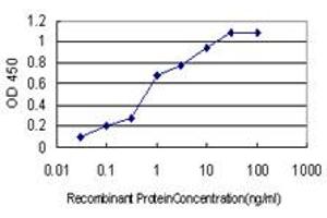Detection limit for recombinant GST tagged MYOG is approximately 0. (Myogenin 抗体  (AA 1-224))