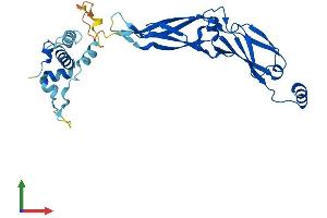 Protein Structure (PS) image for DnaJ (Hsp40) Homolog, Subfamily B, Member 13 (DNAJB13) (AA 1-316) protein (His tag) (ABIN7558432)