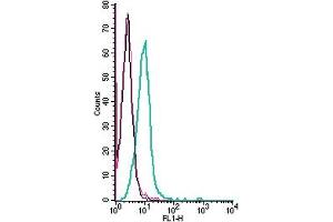 Cell surface detection of PACC1 by indirect flow cytometry in live intact human  monocytic leukemia cell line: + goat-anti-rabbit-FITC. (PACC1 (AA 95-110), (Extracellular) 抗体)