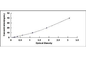 Typical standard curve (PNLIP ELISA 试剂盒)