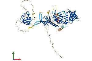 Protein Structure (PS) image for Syntrophin, gamma 2 (SNTG2) (AA 1-539) protein (His tag) (ABIN7560268)