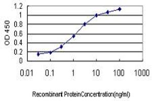 ELISA image for anti-Polymerase (RNA) II (DNA Directed) Polypeptide I, 14.5kDa (POLR2I) (AA 26-125) antibody (ABIN562312)
