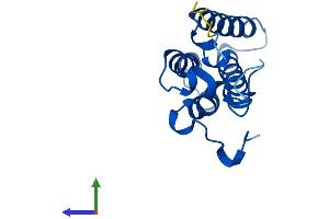 Protein Structure (PS) image for ORM1-Like 2 (ORMDL2) (AA 1-153) protein (His tag) (ABIN7560591)