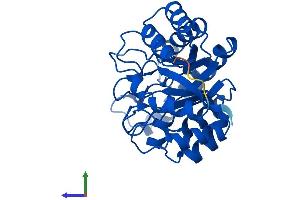 Protein Structure (PS) image for Hydroxypyruvate Isomerase (Putative) (HYI) (AA 1-277) protein (His tag) (ABIN7559666)
