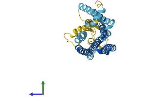 Protein Structure (PS) image for Olfactory Receptor 2A4 (OR2A4) (AA 1-310) protein (His tag) (ABIN7550070)