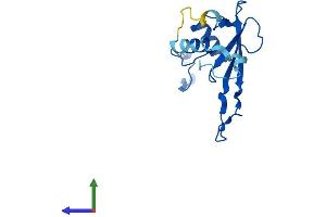 Protein Structure (PS) image for Mitochondrial Ribosomal Protein L23 (MRPL23) (AA 1-153) protein (His tag) (ABIN7551514)