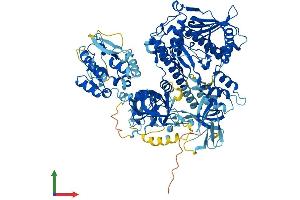 Protein Structure (PS) image for Exosome Complex Exonuclease RRP44 (DIS3) (AA 1-958) protein (His tag) (ABIN7555274)