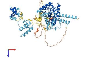 Protein Structure (PS) image for Tigger Transposable Element Derived 2 (TIGD2) (AA 1-525) protein (His tag) (ABIN7544553)