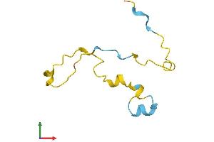 Protein Structure (PS) image for phosphodiesterase 6G, CGMP-Specific, Rod, gamma (PDE6G) (AA 1-87) protein (Fc Tag) (ABIN7546678)