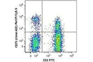 Flow Cytometry (FACS) image for anti-5'-Nucleotidase, Ecto (CD73) (NT5E) antibody (PerCP-Cy5.5) (ABIN2660154) (CD73 抗体  (PerCP-Cy5.5))