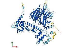 Protein Structure (PS) image for Gigaxonin (GAN) (AA 1-597) protein (His tag) (ABIN7559212)