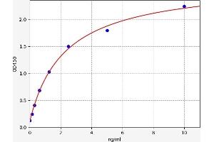 Typical standard curve (CDKN2C ELISA 试剂盒)