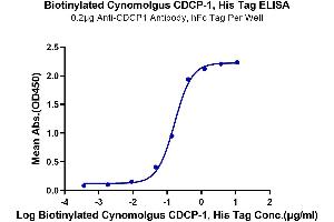 Immobilized Anti-CDCP1 Antibody, hFc Tag at 2 μg/mL (100 μL/well) on the plate.