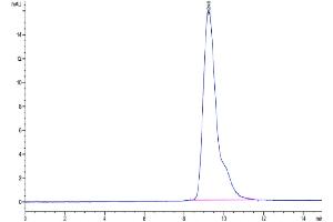 Size-exclusion chromatography-High Pressure Liquid Chromatography (SEC-HPLC) image for Programmed Cell Death 1 Ligand 2 (PDCD1LG2) (AA 20-220) protein (His tag) (ABIN7275428)