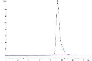 The purity of Cynomolgus PD-L2 is greater than 95 % as determined by SEC-HPLC. (PDCD1LG2 Protein (AA 20-220) (His tag))