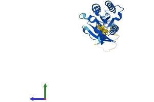 Protein Structure (PS) image for RAB20, Member RAS Oncogene Family (RAB20) (AA 1-234) protein (His tag) (ABIN7551154)