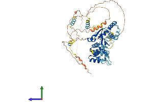 Protein Structure (PS) image for Origin Recognition Complex Subunit 2 (ORC2) (AA 1-576) protein (His tag) (ABIN7557628)