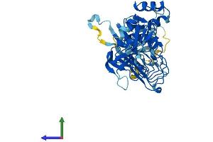 PPIL5 Protein (AA 1-414) (His tag)