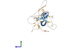 Protein Structure (PS) image for Protein Phosphatase 1, Regulatory Subunit 9B, Spinophilin (PPP1R9B) (AA 1-817) protein (His tag) (ABIN7564145)