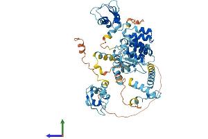 AlphaFold protein structure predicition of Mouse Recombinant Birc3 Protein, UniprotID O08863