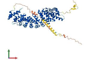 Protein Structure (PS) image for Karyopherin alpha 6 (Importin alpha 7) (KPNA6) (AA 1-536) protein (His tag) (ABIN7562304)