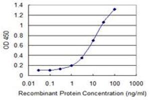 Detection limit for recombinant GST tagged GNL3 is 0. (Nucleostemin 抗体  (AA 328-427))