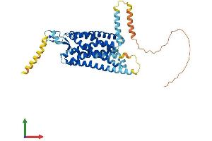 Protein Structure (PS) image for Neuromedin U Receptor 2 (NMUR2) (AA 1-415) protein (His tag) (ABIN7549795)