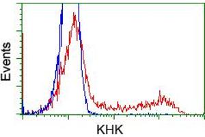 HEK293T cells transfected with either RC202424 overexpress plasmid (Red) or empty vector control plasmid (Blue) were immunostained by anti-KHK antibody (ABIN2453197), and then analyzed by flow cytometry. (Ketohexokinase 抗体)