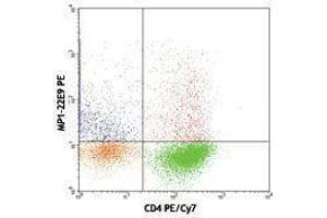 Flow Cytometry (FACS) image for anti-Colony Stimulating Factor 2 (Granulocyte-Macrophage) (CSF2) antibody (PE) (ABIN2663707) (GM-CSF 抗体  (PE))